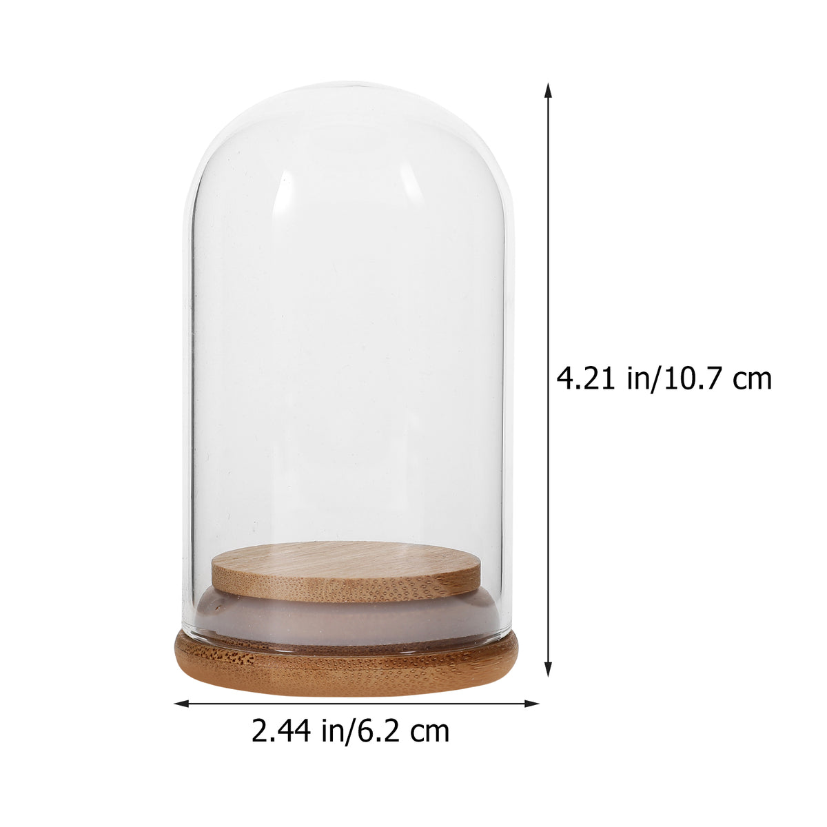 5 Pcs Glass Dome Display Case with Bamboo N73247