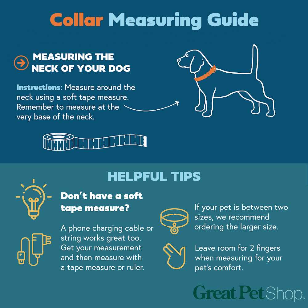 Clip Dog Collar F95080