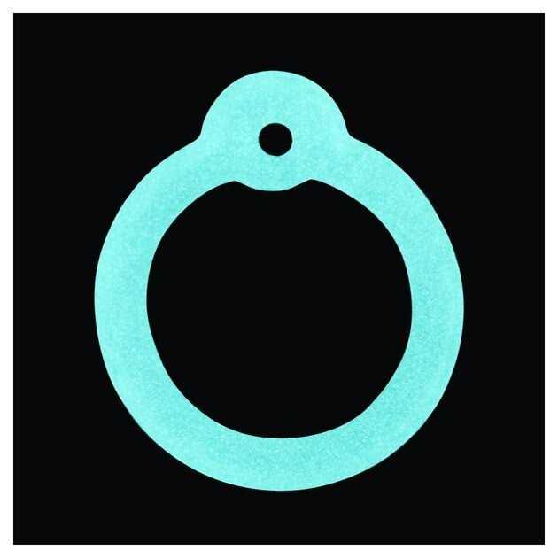 Anodized Aluminum Dog & Cat ID Tag N252784