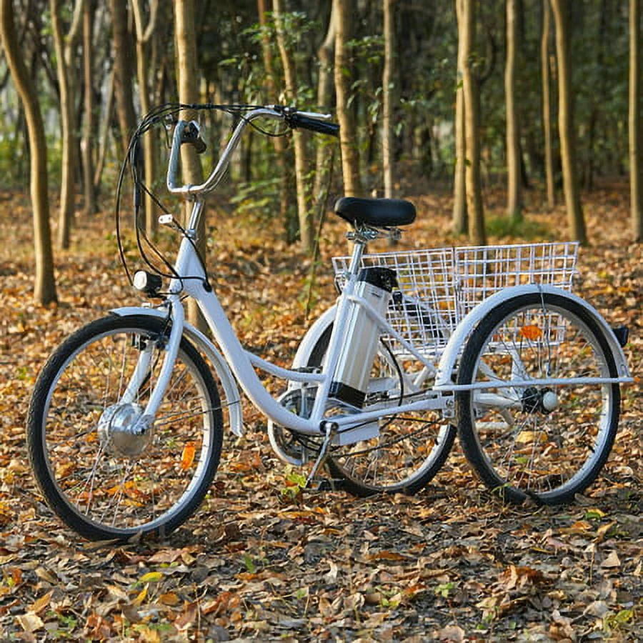 24inch 3 Wheel Electric Tricycle with 250w Motor K75102