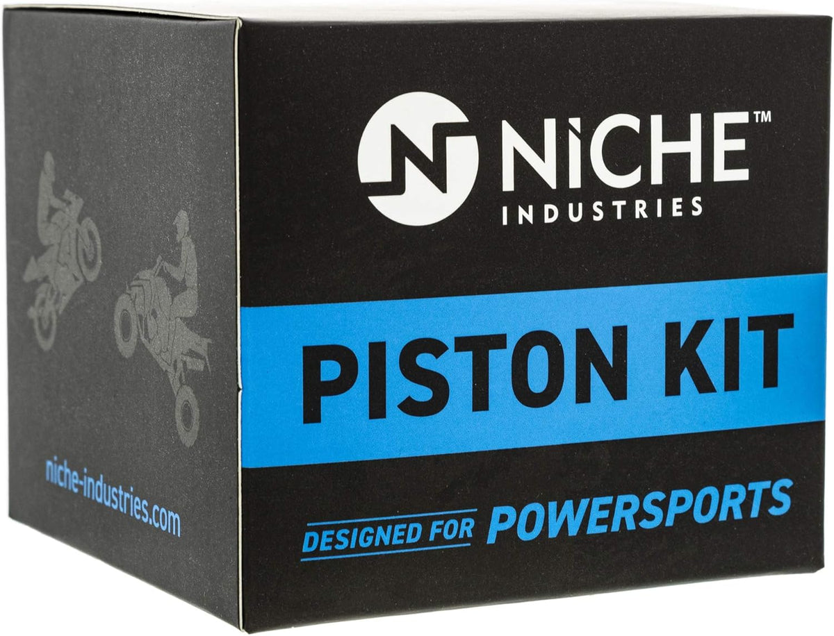 Piston Kit Pack of 2 N98906