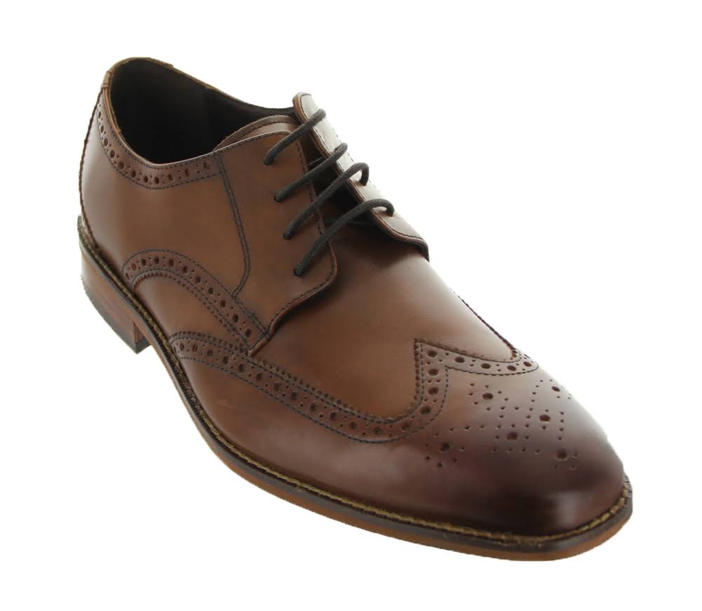 Tan Wing Ox H678