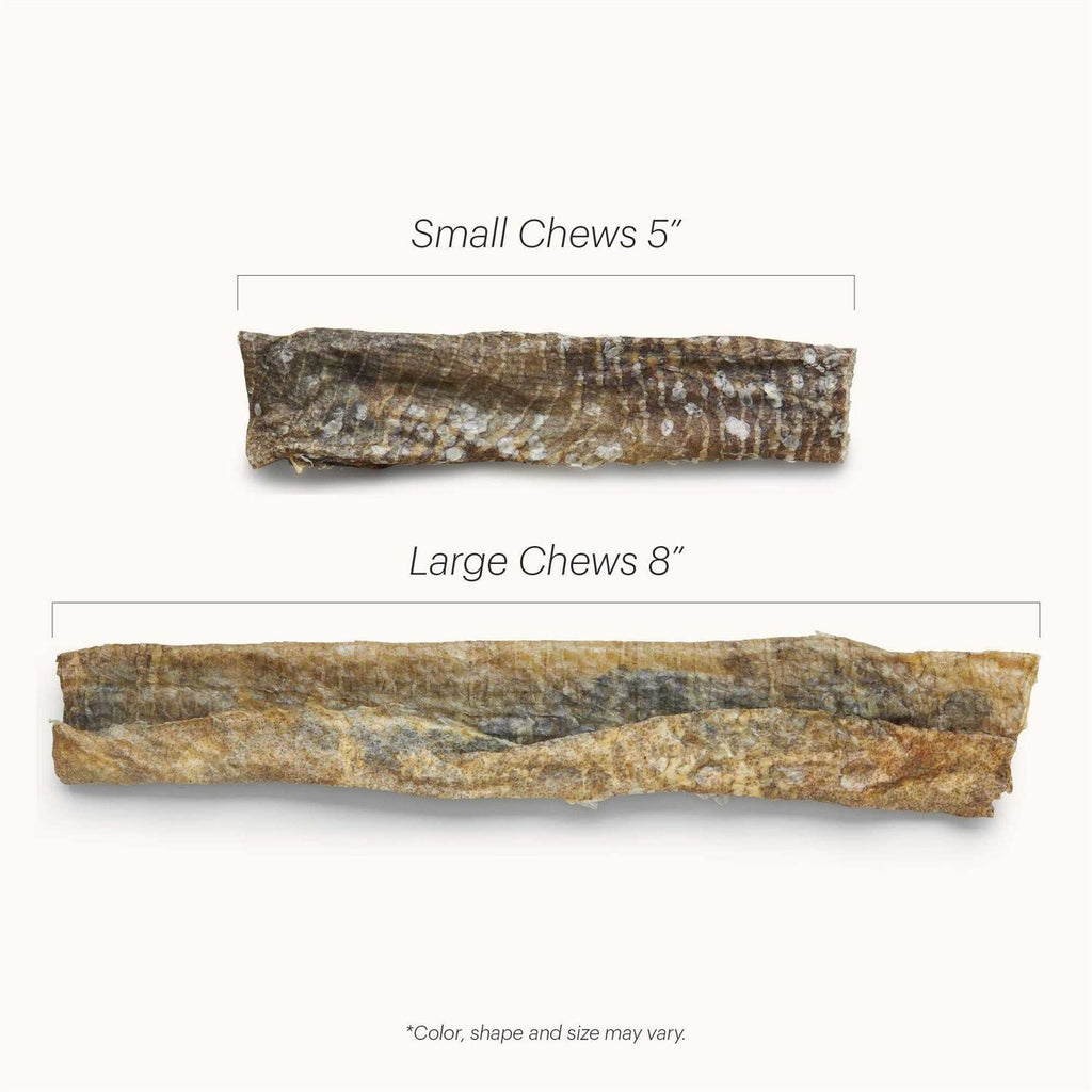 Cod Dog Chews M778123