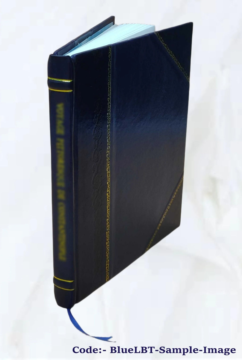 Civil Service Board Reports and Superintendent of Employment Report, 1913 E486