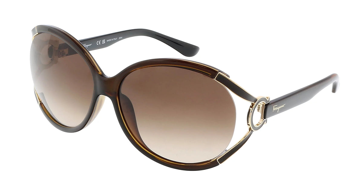 Dark Brown Oval Sunglasses S927