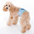 Belly Band S894
