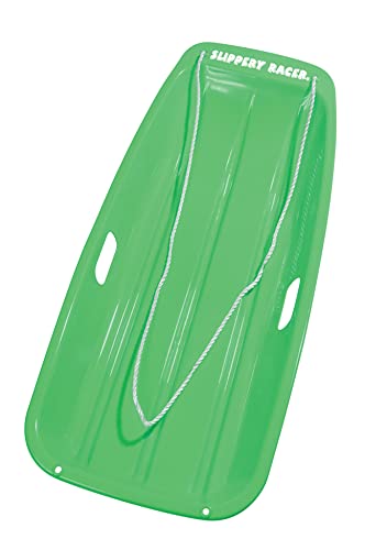 2 Person Snow Sled F941721