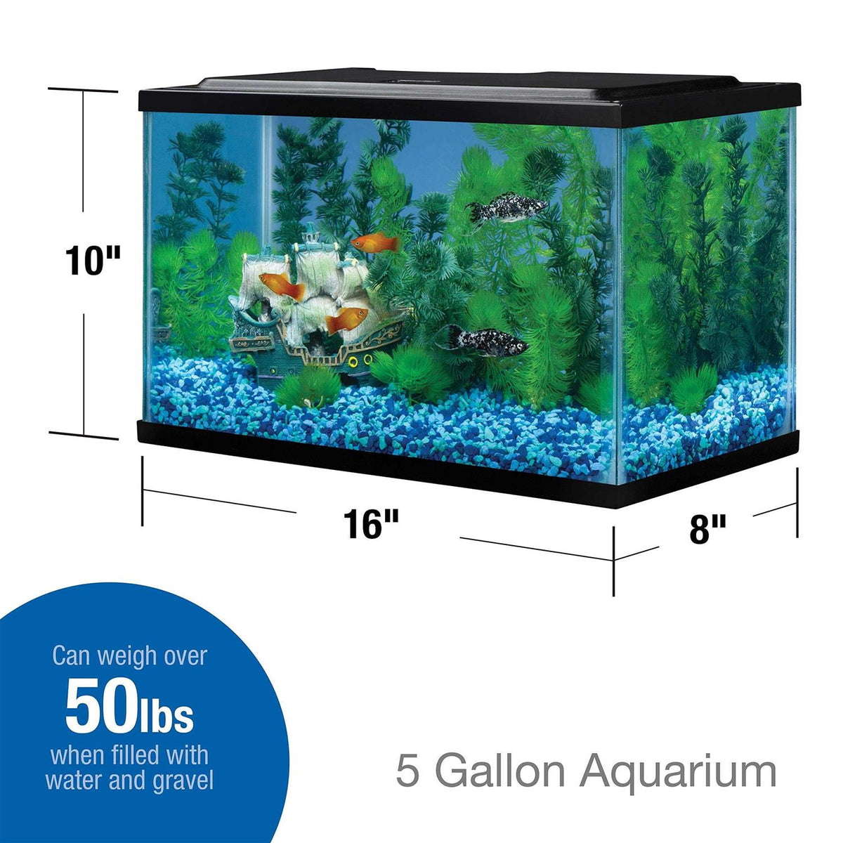 5.5 Gallons Glass Aquarium F1062