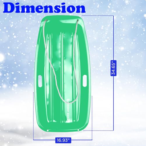2 Person Snow Sled F941721