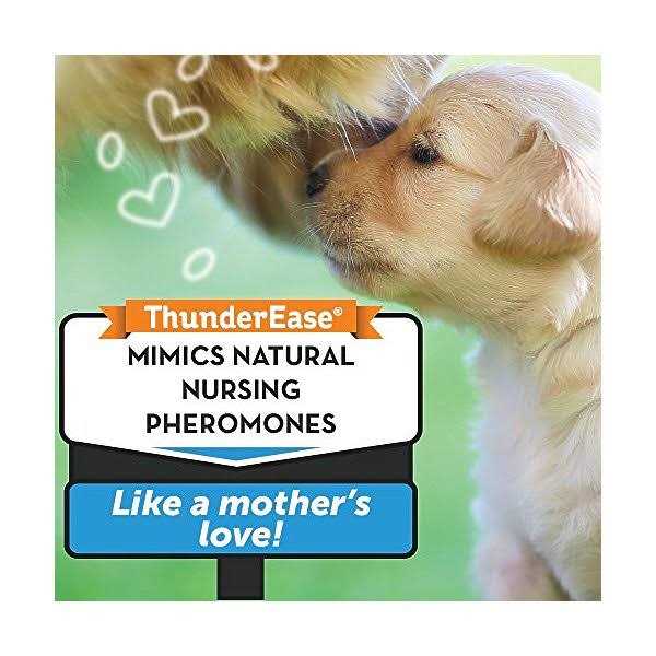 Calming Diffuser Kit Dog L859