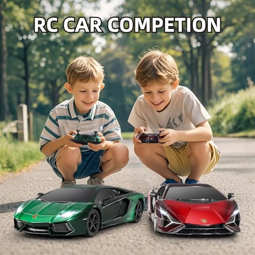1:24 Scale Remote Control Car E35679