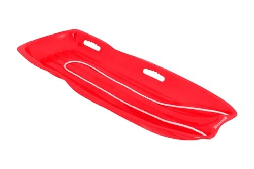 2 Person Snow Sled F941721