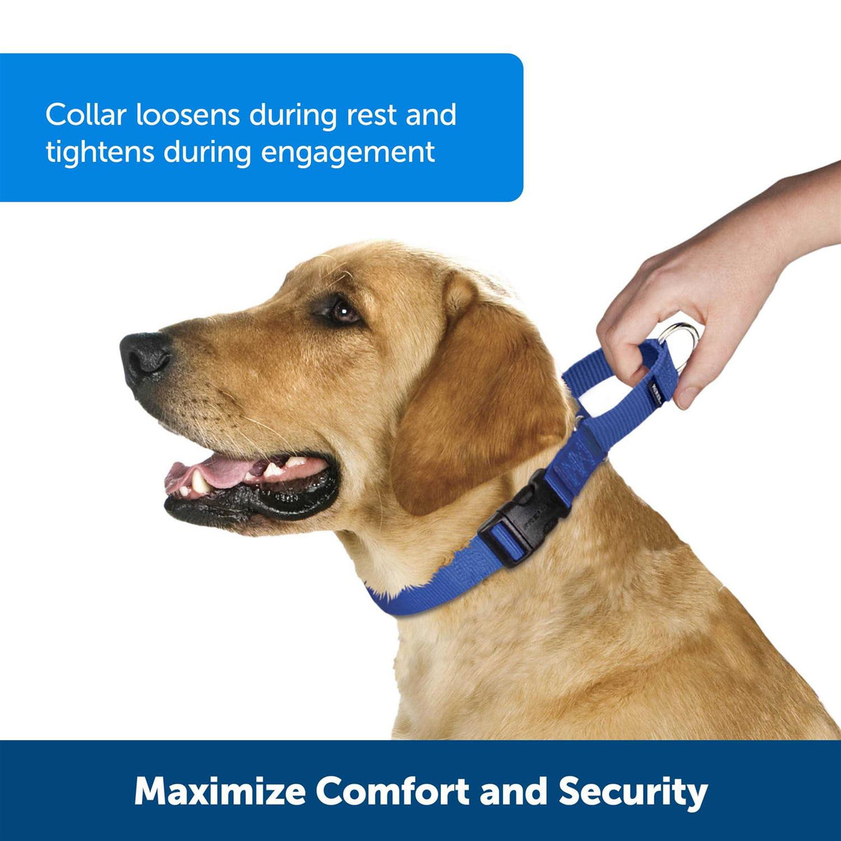 Martingale Collar Quick Snap N647951
