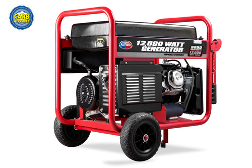 12000 Watt Portable Generator with Electric Start D99959