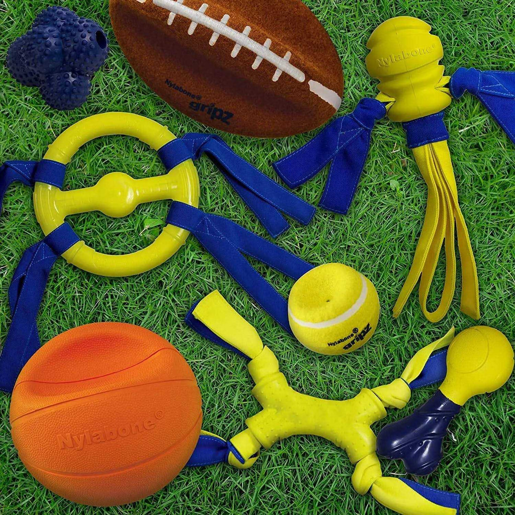 Dog Toy T9261
