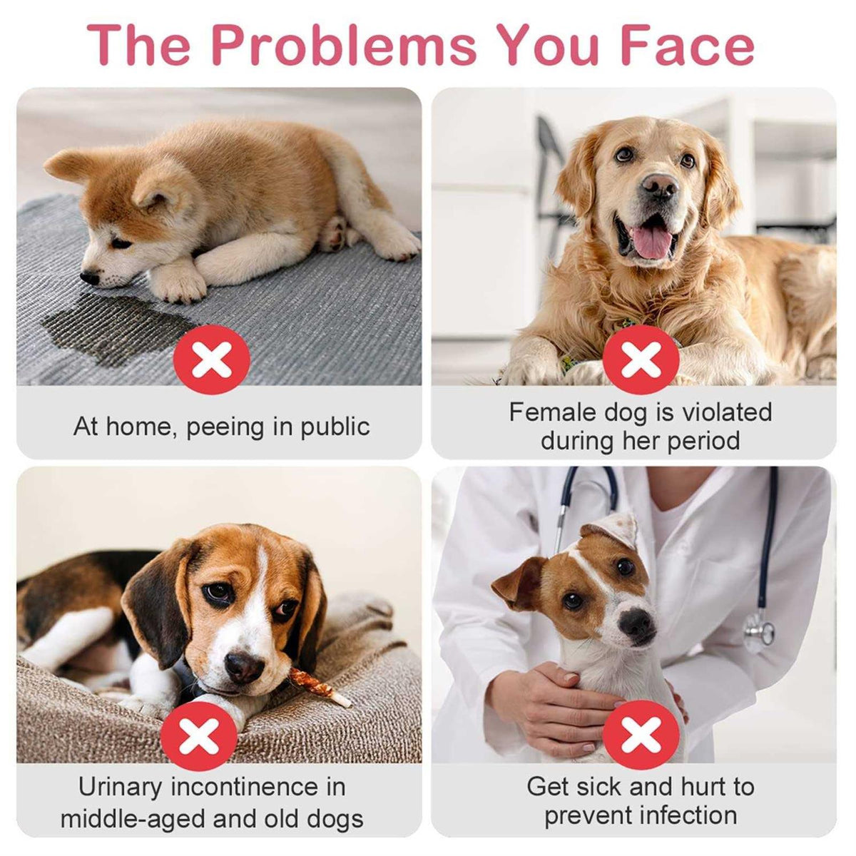 Disposable Female Dog Diapers with Adjustable Elastic Waistline Z67417