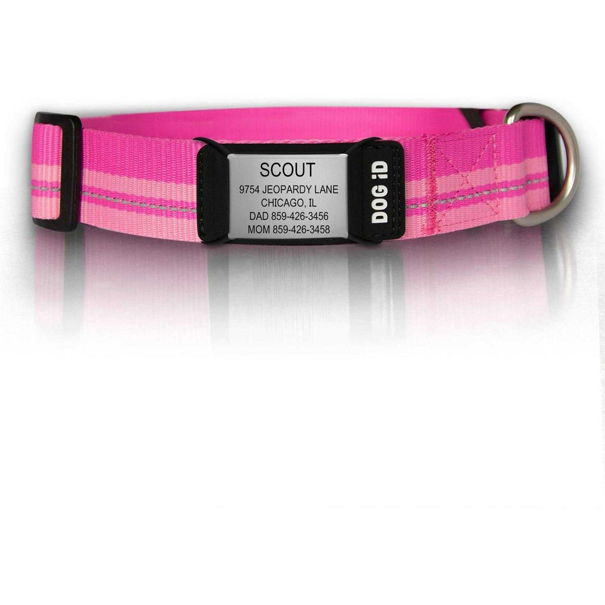 Personalized ID Tag Dog Collar H542