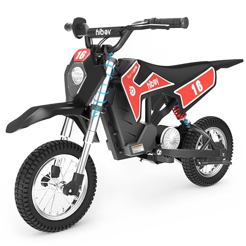 36V Electric Dirt Bike T60030