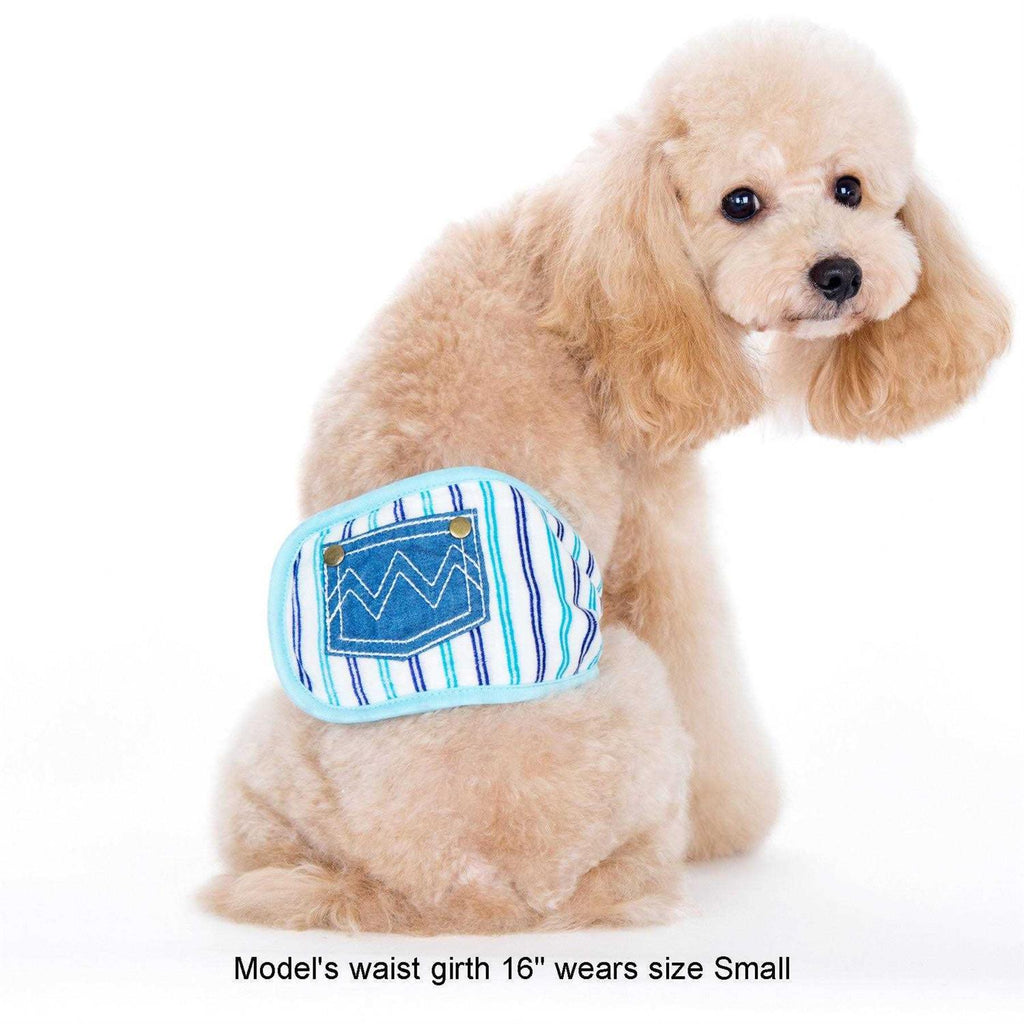 Belly Band S894