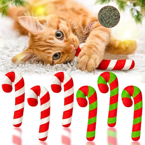 3Pcs Catnip Cat Toys D6899