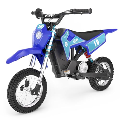 36V Electric Dirt Bike T60030