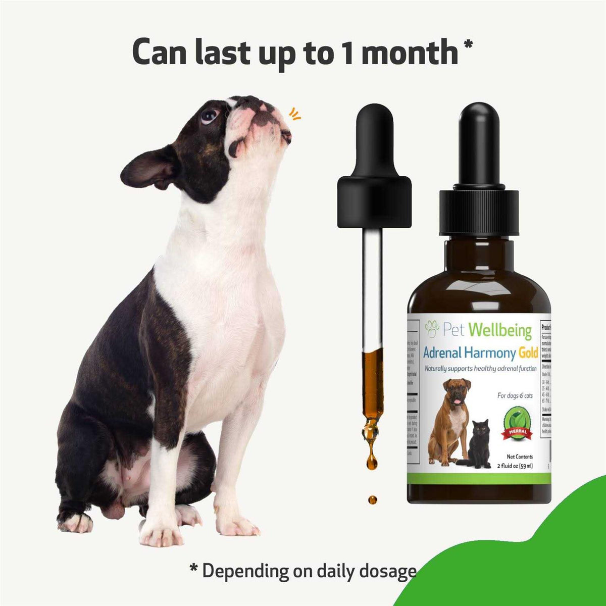 Adrenal Harmony Gold Dog Supplement A796