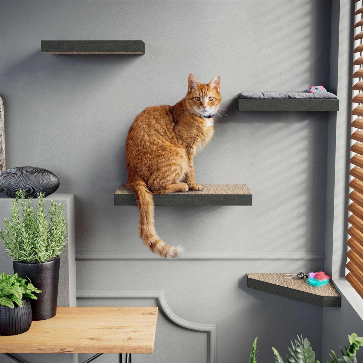 Cat Scratcher Floating Shelf Combo F104