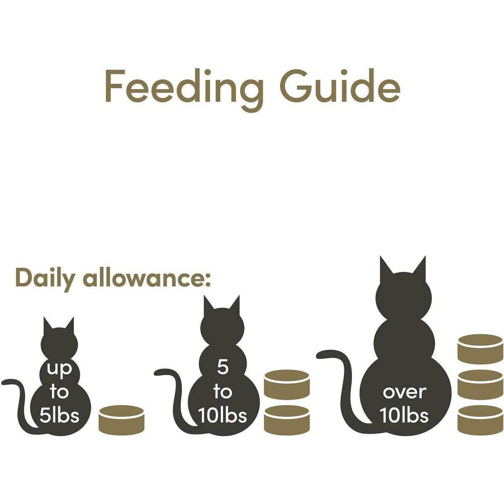 Tuna Fillet Wet Cat Food K722