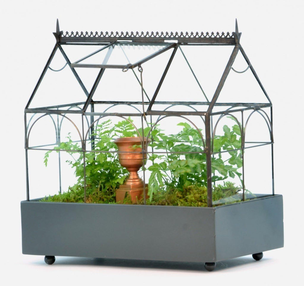 Glass Terrarium Planter Q567