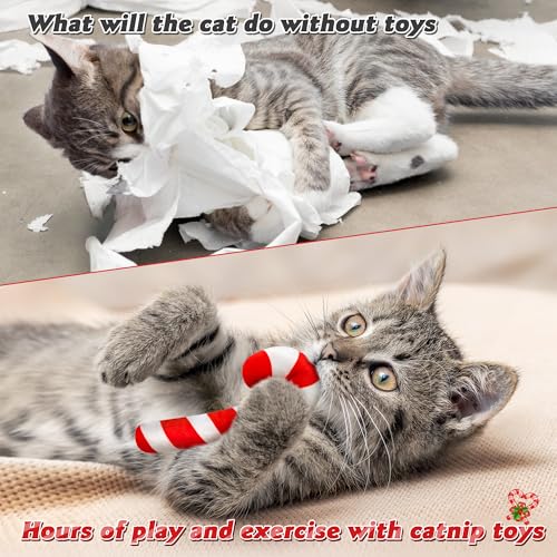3Pcs Catnip Cat Toys D6899