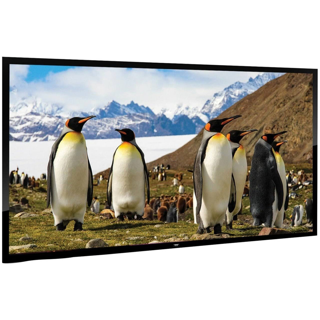 110x22 Fixed Wall-Mount Projector Screen V523044