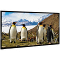 110x22 Fixed Wall-Mount Projector Screen V523044
