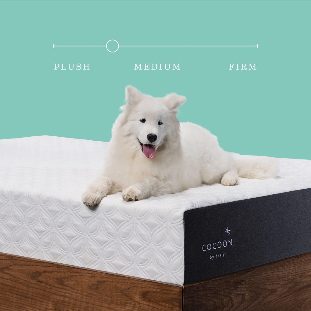 10 Medium Gel Memory Foam Mattress, Queen G403426