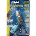 Singing Parakeet L237724