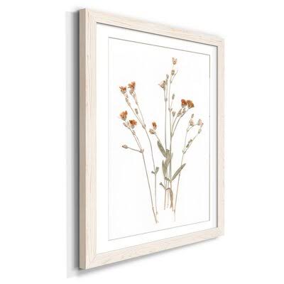 Pressed Botanical I Print White 32x22 M1986