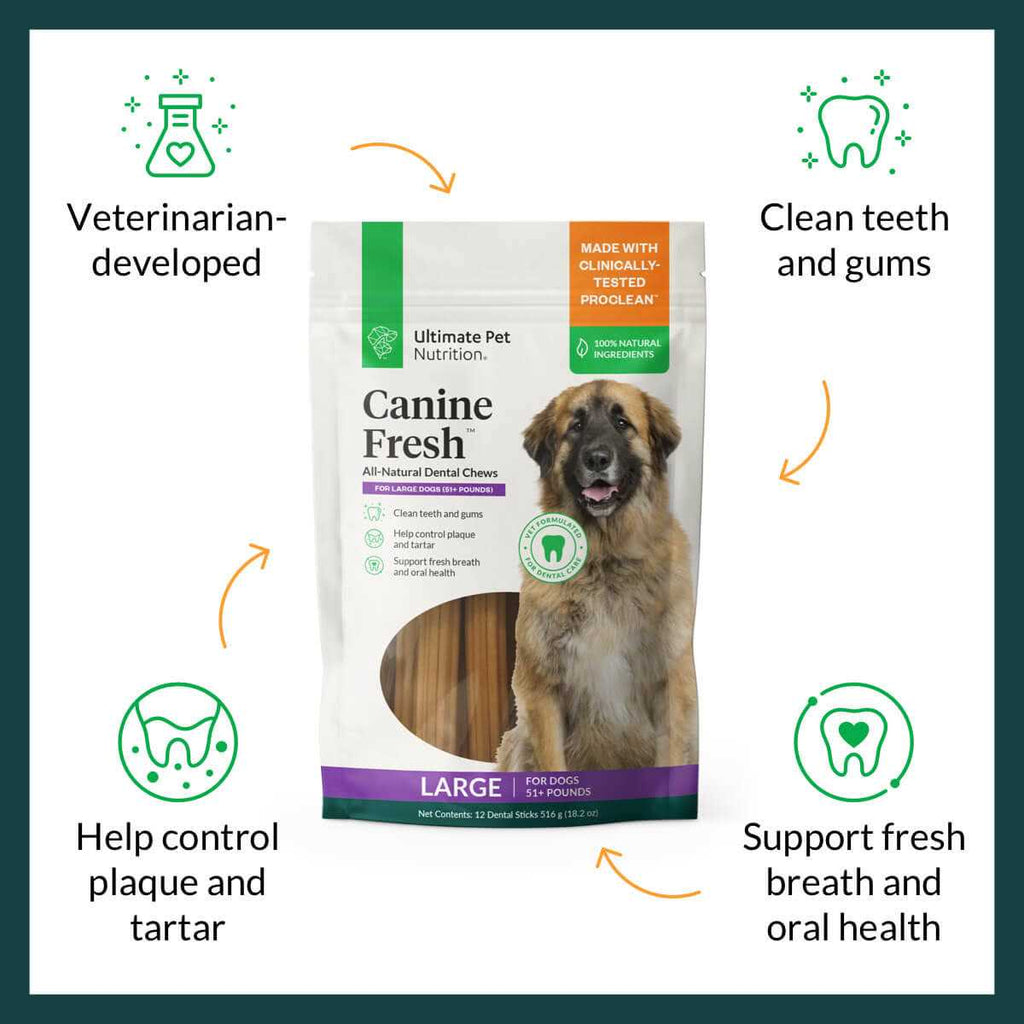 All Natural Canine Fresh Dental Chews Sticks U84897