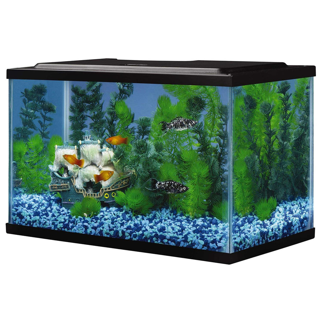5.5 Gallons Glass Aquarium F1062