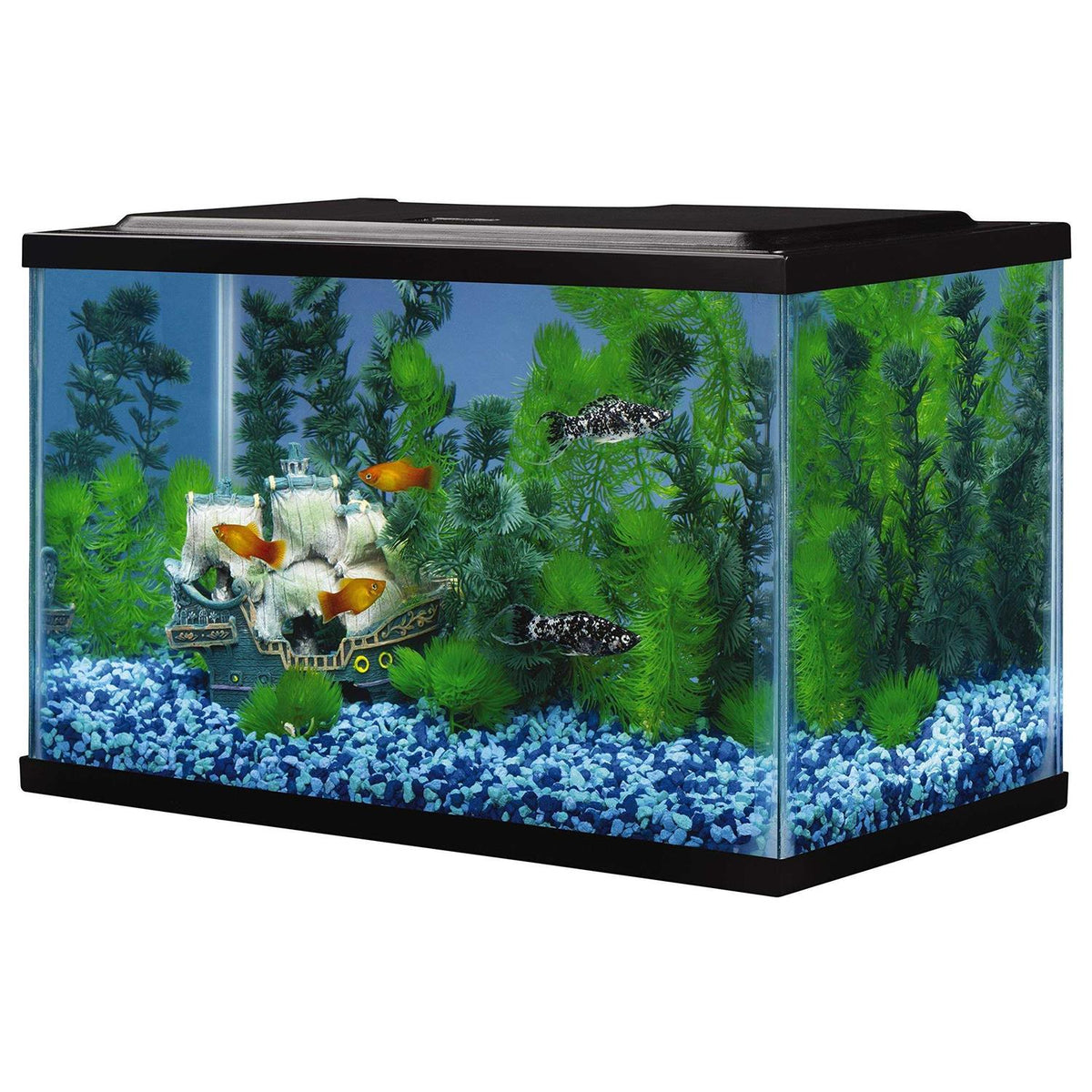 5.5 Gallons Glass Aquarium F1062