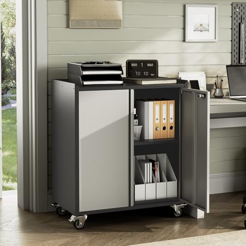Locking Metal Cabinet with Door, Rolling Storage Cabinet with Shelves K113867