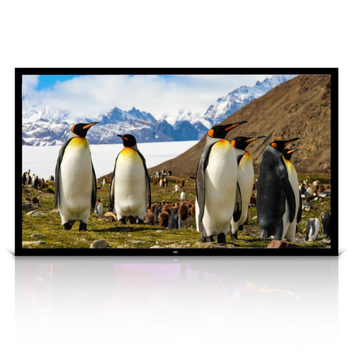 110x22 Fixed Wall-Mount Projector Screen V523044