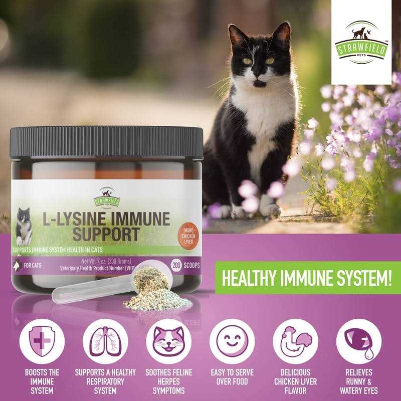L-Lysine for Cats Supplement Powder Granules W44864