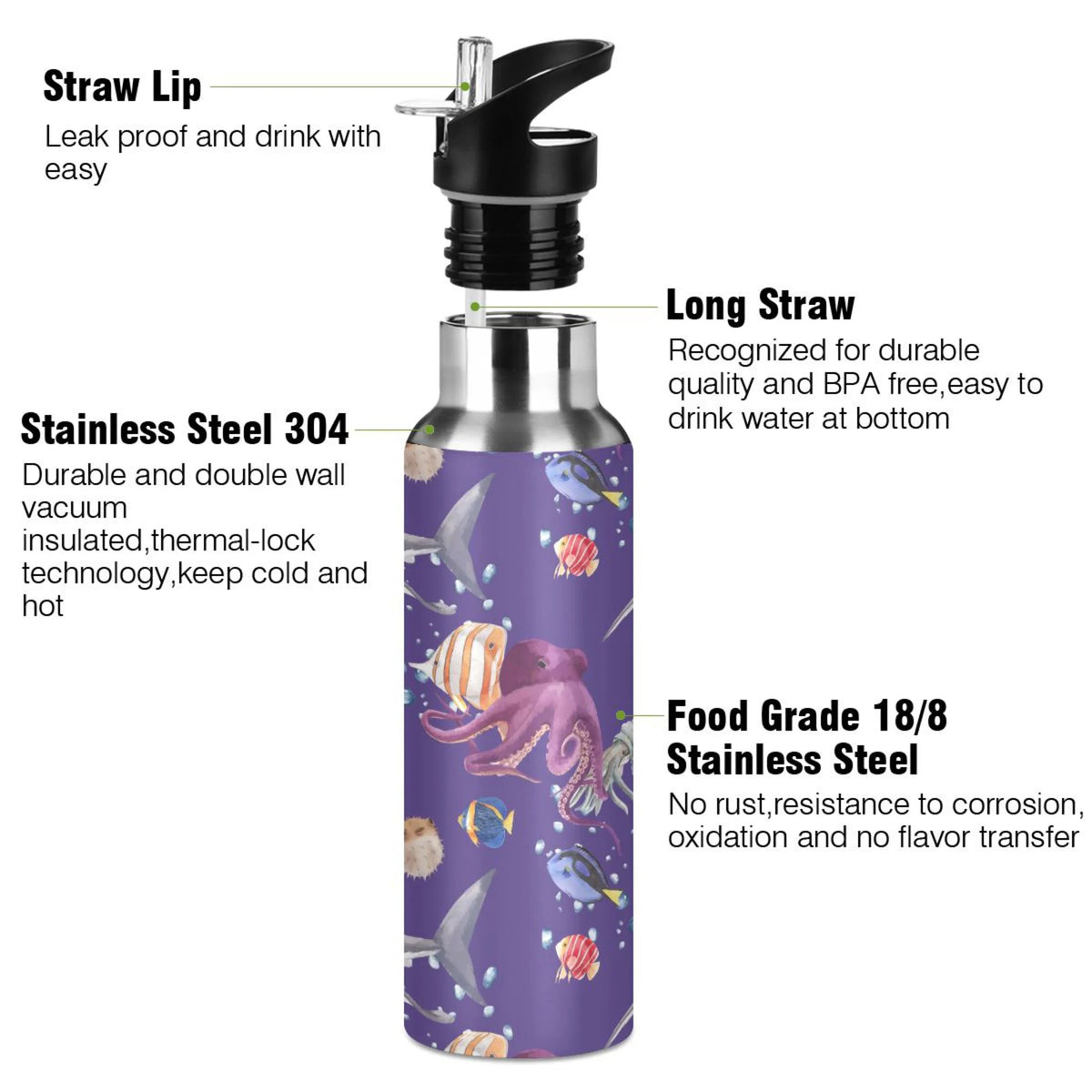 20 OZ Stainless Steel Vacuum Insulated Water Bottle with Straw Lid P54930