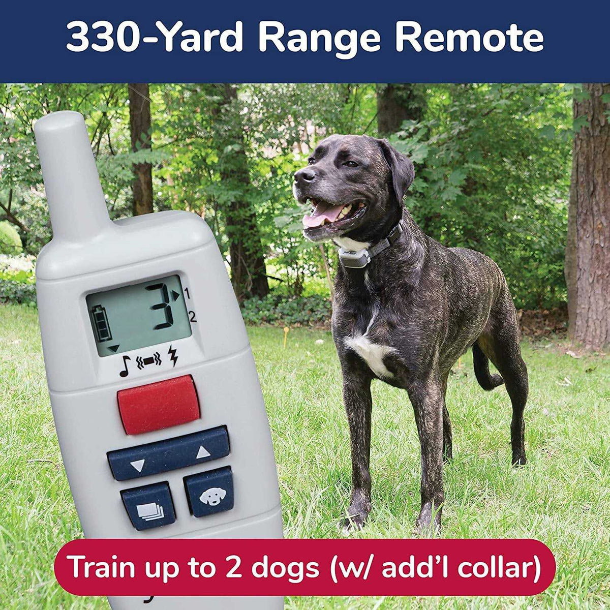 Remote Trainer Z1256