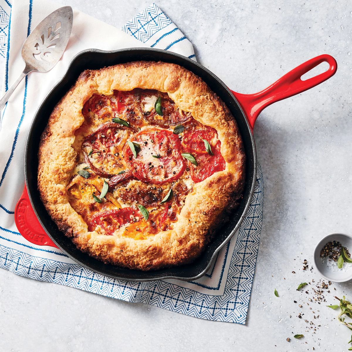 Enameled Cast-Iron 10-1/4-Inch Skillet with Iron Handle C255727