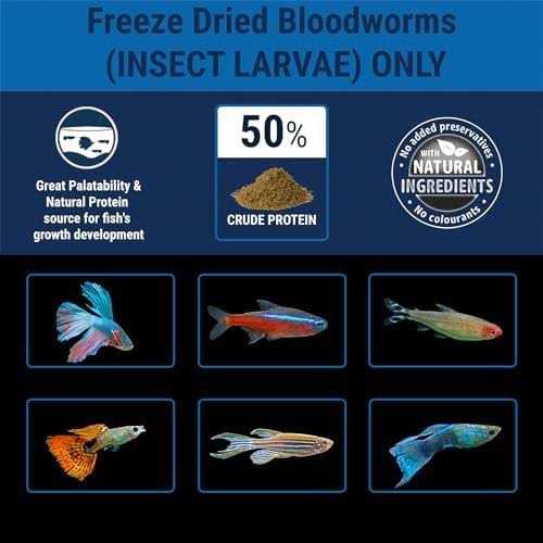 Freeze Dried Fish Food N21081