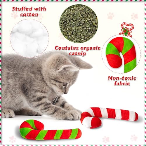 3Pcs Catnip Cat Toys D6899