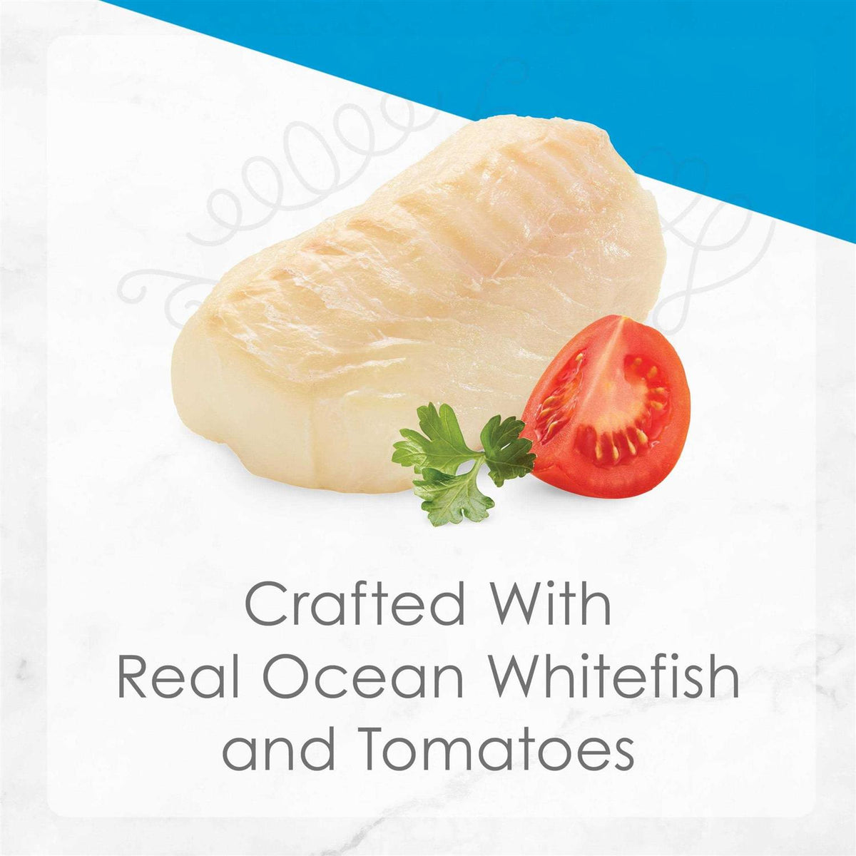 Ocean Whitefish Entree with Tomato in Gravy Wet Cat Food T52096