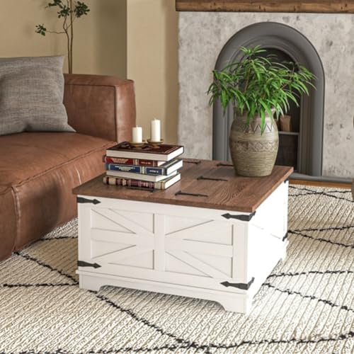Distressed White & Brown Square Storage Coffee Table with Hinged Lift Top X4558