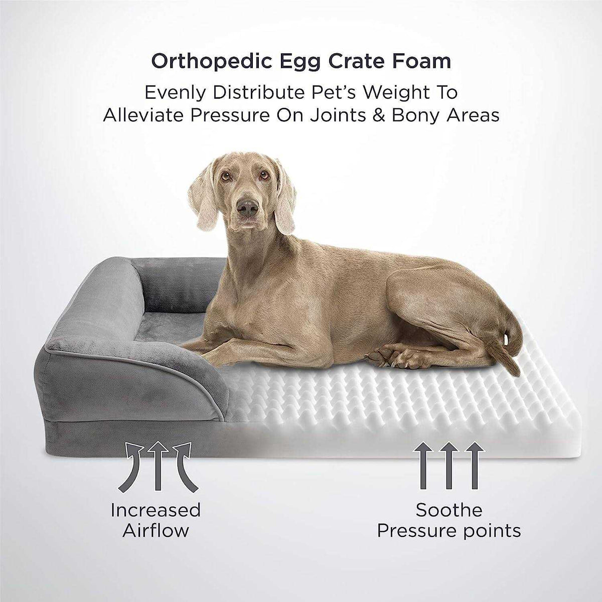 Washable Orthopedic Dog Bed T176475
