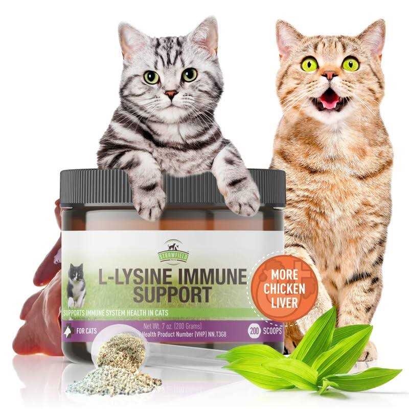 L-Lysine for Cats Supplement Powder Granules W44864